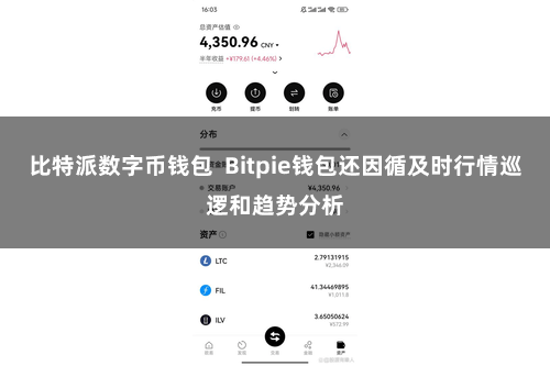 比特派数字币钱包 Bitpie钱包还因循及时行情巡逻和趋势分析