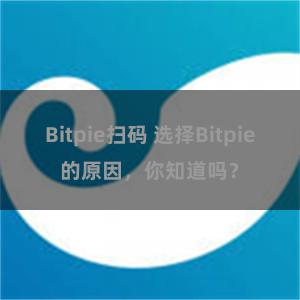 Bitpie扫码 选择Bitpie的原因，你知道吗？