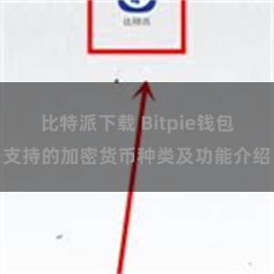 比特派下载 Bitpie钱包支持的加密货币种类及功能介绍