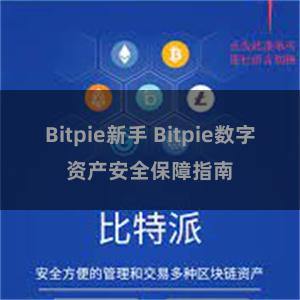 Bitpie新手 Bitpie数字资产安全保障指南