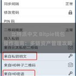 比特派中文 Bitpie钱包操作指南：多链资产管理攻略