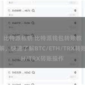 比特派私钥 比特派钱包转账教程详解，快速了解BTC/ETH/TRX转账操作