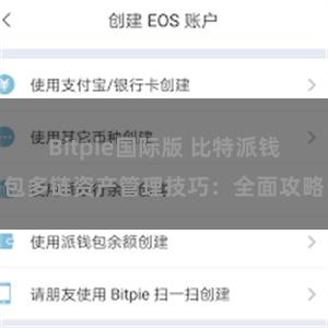 Bitpie国际版 比特派钱包多链资产管理技巧：全面攻略