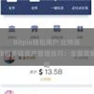 Bitpie钱包用户 比特派钱包多链资产管理技巧：全面攻略