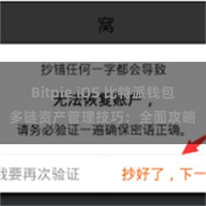 Bitpie iOS 比特派钱包多链资产管理技巧：全面攻略