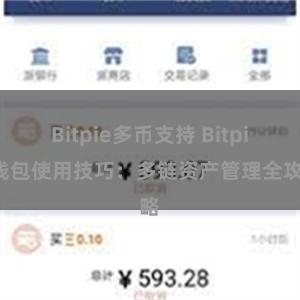 Bitpie多币支持 Bitpie钱包使用技巧：多链资产管理全攻略