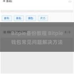 Bitpie备份教程 Bitpie钱包常见问题解决方法