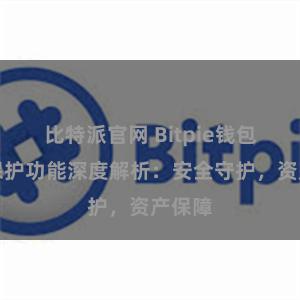 比特派官网 Bitpie钱包隐私保护功能深度解析：安全守护，资产保障