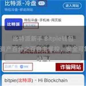 比特派新手 Bitpie钱包：资产百分之百自主掌控，安全可靠！