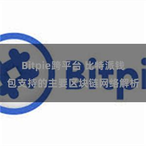Bitpie跨平台 比特派钱包支持的主要区块链网络解析
