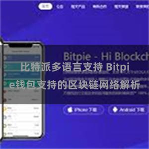 比特派多语言支持 Bitpie钱包支持的区块链网络解析