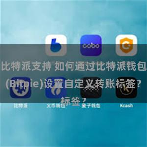 比特派支持 如何通过比特派钱包(Bitpie)设置自定义转账标签？
