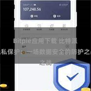 Bitpie应用下载 比特派隐私保护：一场数据安全的防护之战