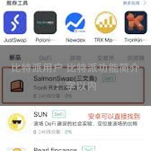 比特派用户 比特派功能简介：字以内