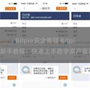 Bitpie安全教程 Bitpie新手教程：快速上手数字资产管理