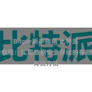Bitpie新手指南 比特派备份教程：实现数据安全存储的有效方法