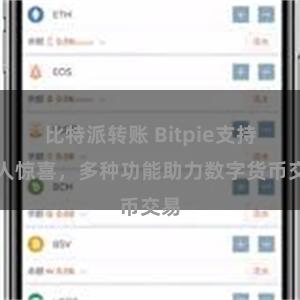 比特派转账 Bitpie支持令人惊喜，多种功能助力数字货币交易