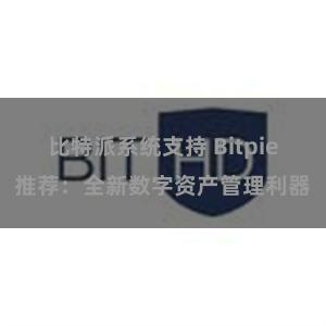 比特派系统支持 Bitpie推荐：全新数字资产管理利器