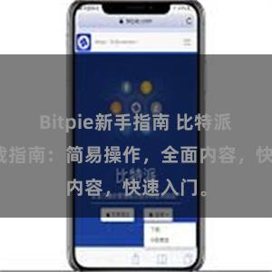 Bitpie新手指南 比特派教程下载指南：简易操作，全面内容，快速入门。