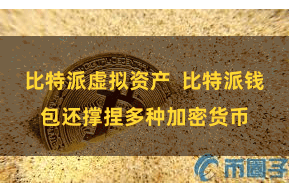 比特派虚拟资产  比特派钱包还撑捏多种加密货币