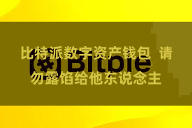 比特派数字资产钱包 请勿露馅给他东说念主