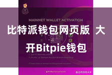 比特派钱包网页版 大开Bitpie钱包
