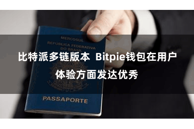 比特派多链版本  Bitpie钱包在用户体验方面发达优秀