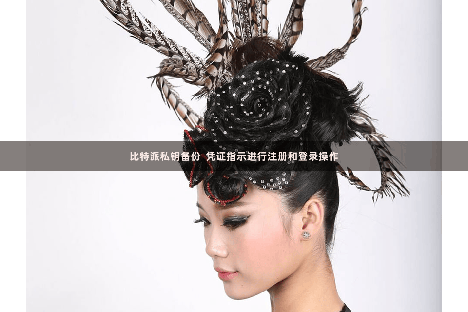 比特派私钥备份  凭证指示进行注册和登录操作