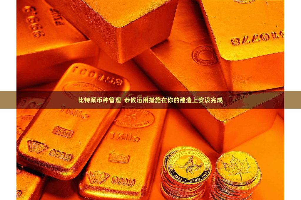 比特派币种管理  恭候运用措施在你的建造上安设完成