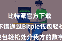 比特派官方下载  用户不错通过Bitpie钱包轻松处分我方的数字金钱