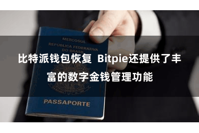 比特派钱包恢复  Bitpie还提供了丰富的数字金钱管理功能