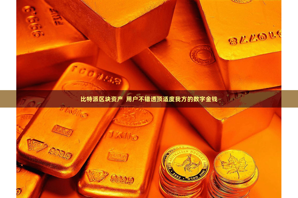 比特派区块资产  用户不错透顶适度我方的数字金钱