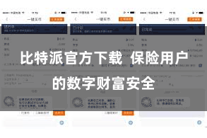比特派官方下载  保险用户的数字财富安全