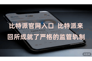 比特派官网入口  比特派来回所成就了严格的监管轨制