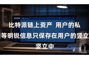 比特派链上资产  用户的私钥等明锐信息只保存在用户的竖立中