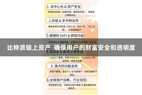 比特派链上资产  确保用户的财富安全和透明度